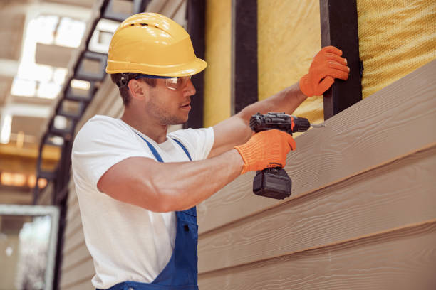 Best Custom Trim and Detailing for Siding  in San Buenaventura, CA