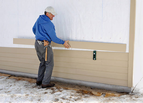 Best Steel Siding Installation  in San Buenaventura, CA